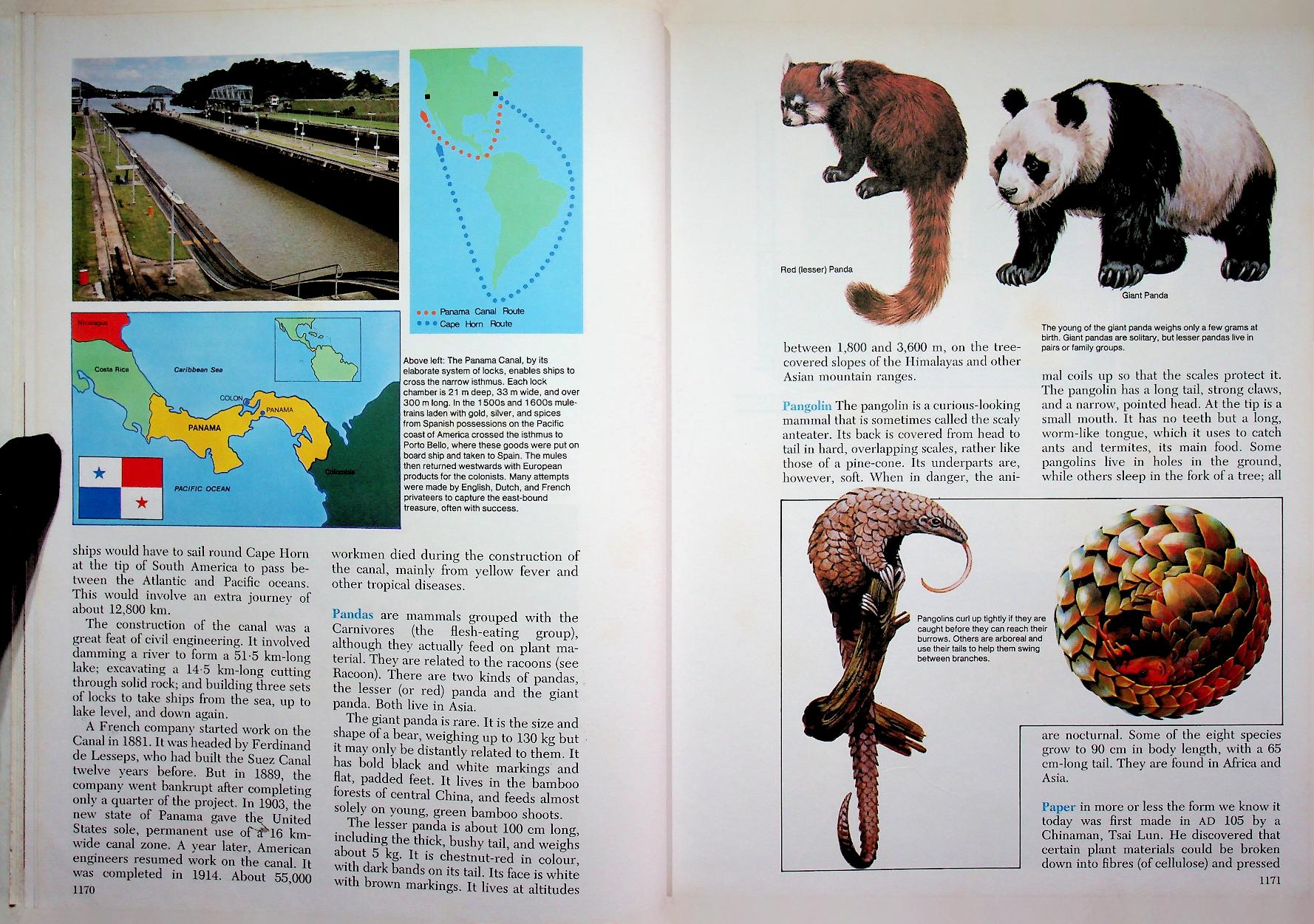 The 21st Century JUNIOR WORLD Encyclopedia 8