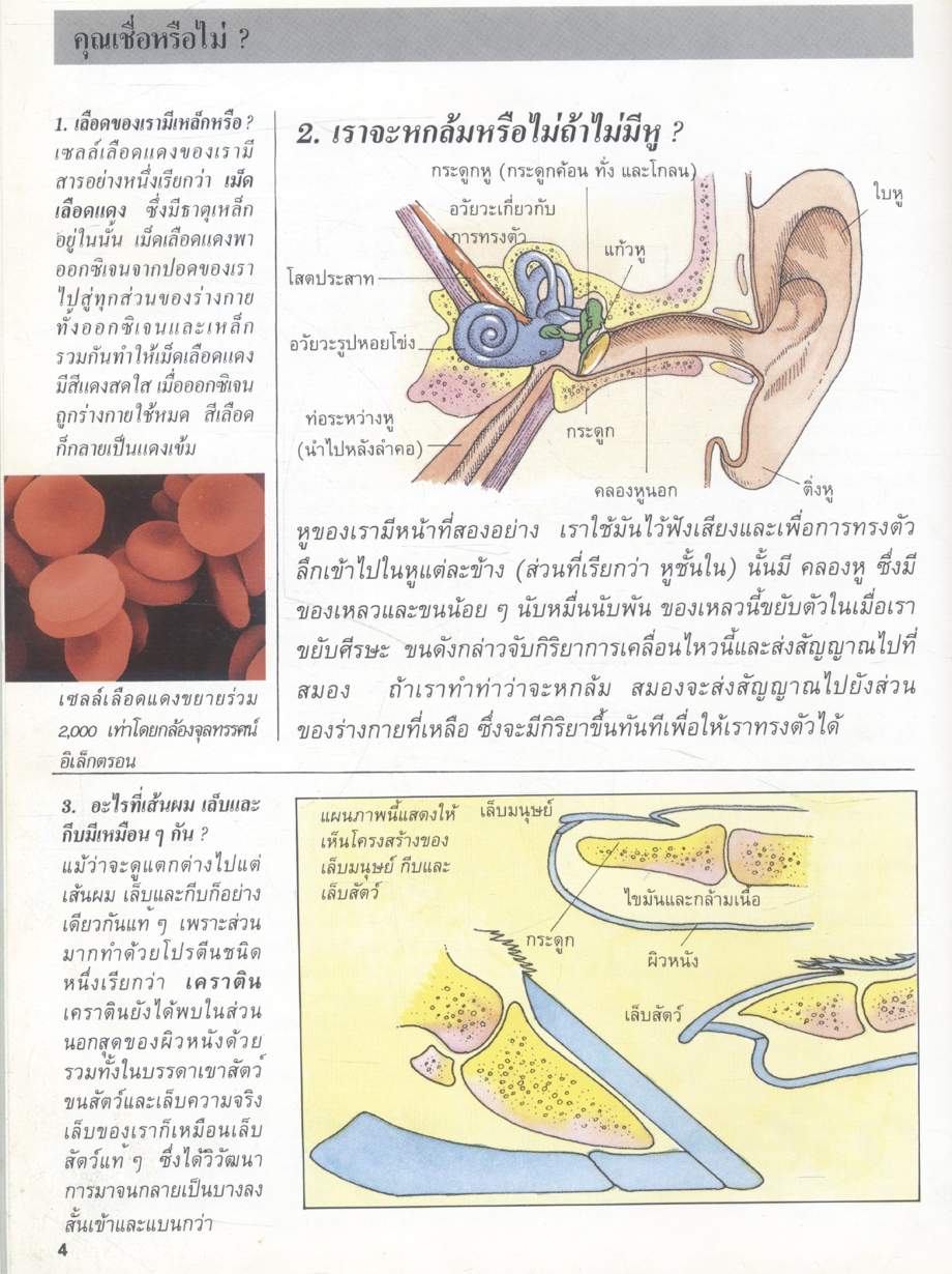 พลังกาย คุณเชื่อหรือไม่?