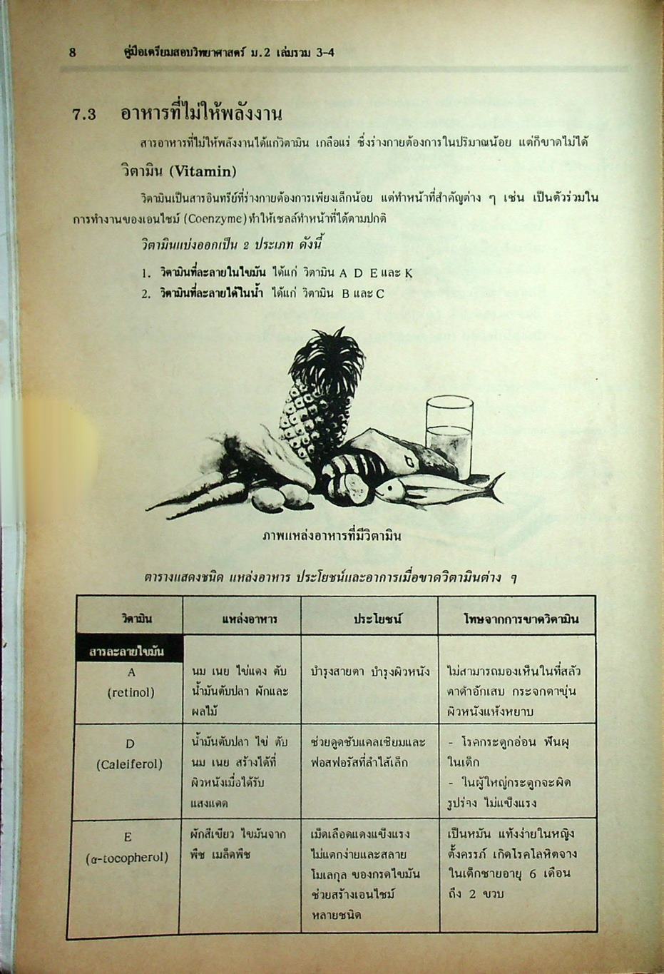คู่มือเตรียมสอบ วิทยาศาสตร์ ม.2 เล่มรวม 3-4 ว 203 - ว 204