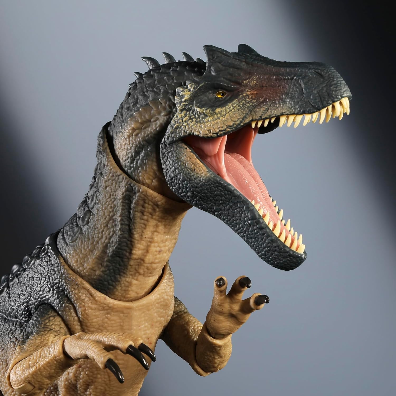 **MTS Toys**Mattel Jurassic World Hammond Collection : JCG13 Allosaurus [ความยาวจากหัวถึงหาง 52.7 ซ.ม.]