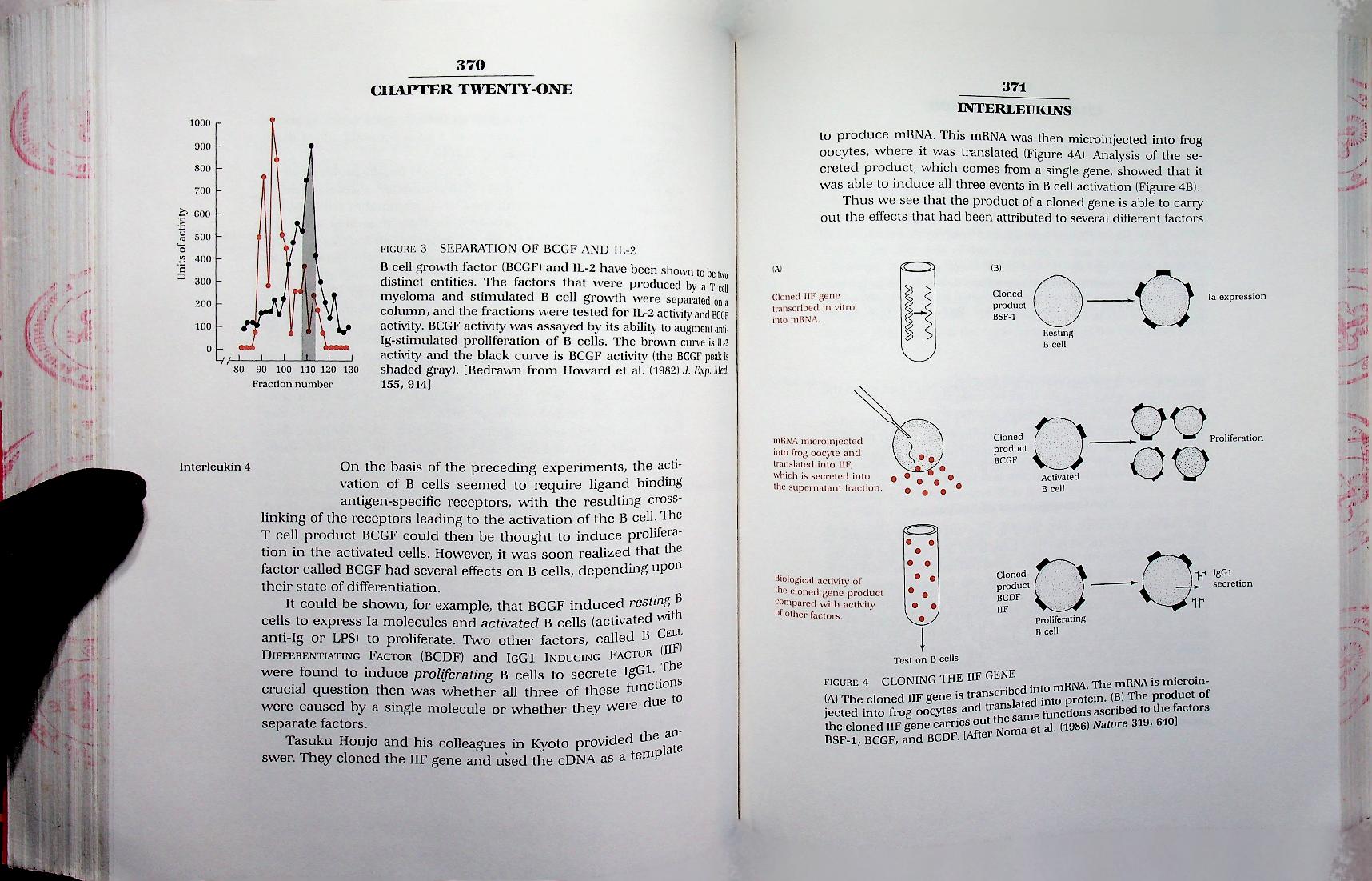 IMMUNOLOGY: A SYNTHESIS