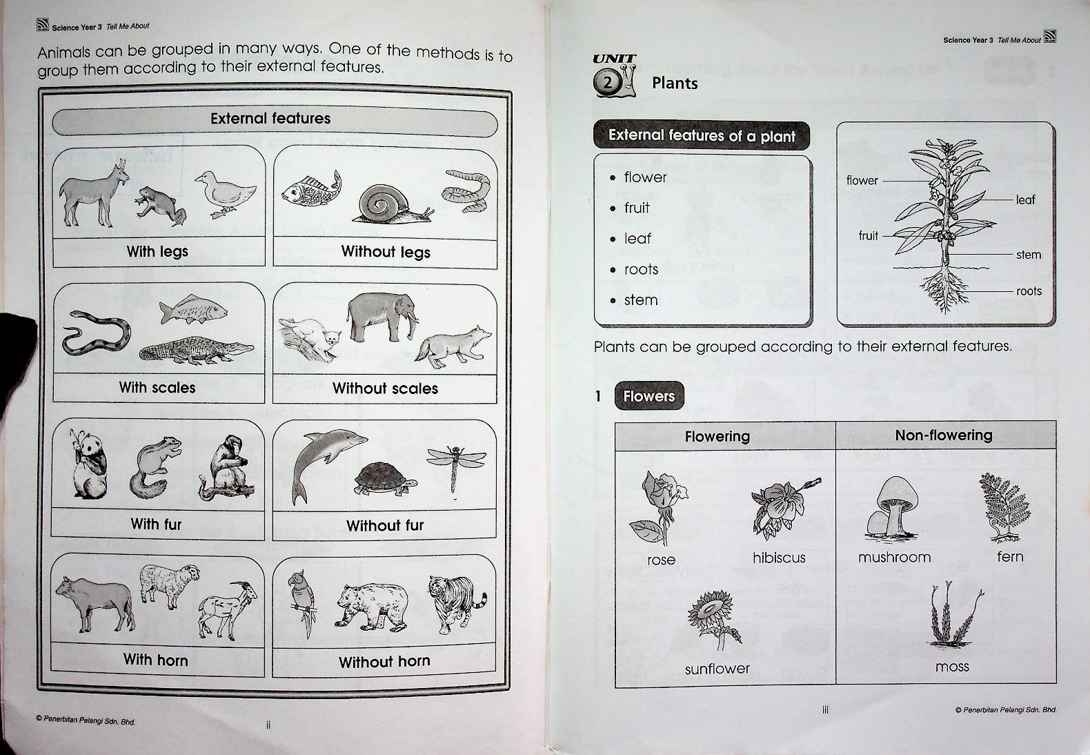 Prime Assessment ICPS SCIENCE Year 3
