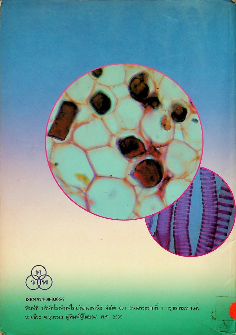 โครงสร้างภายในของพืช