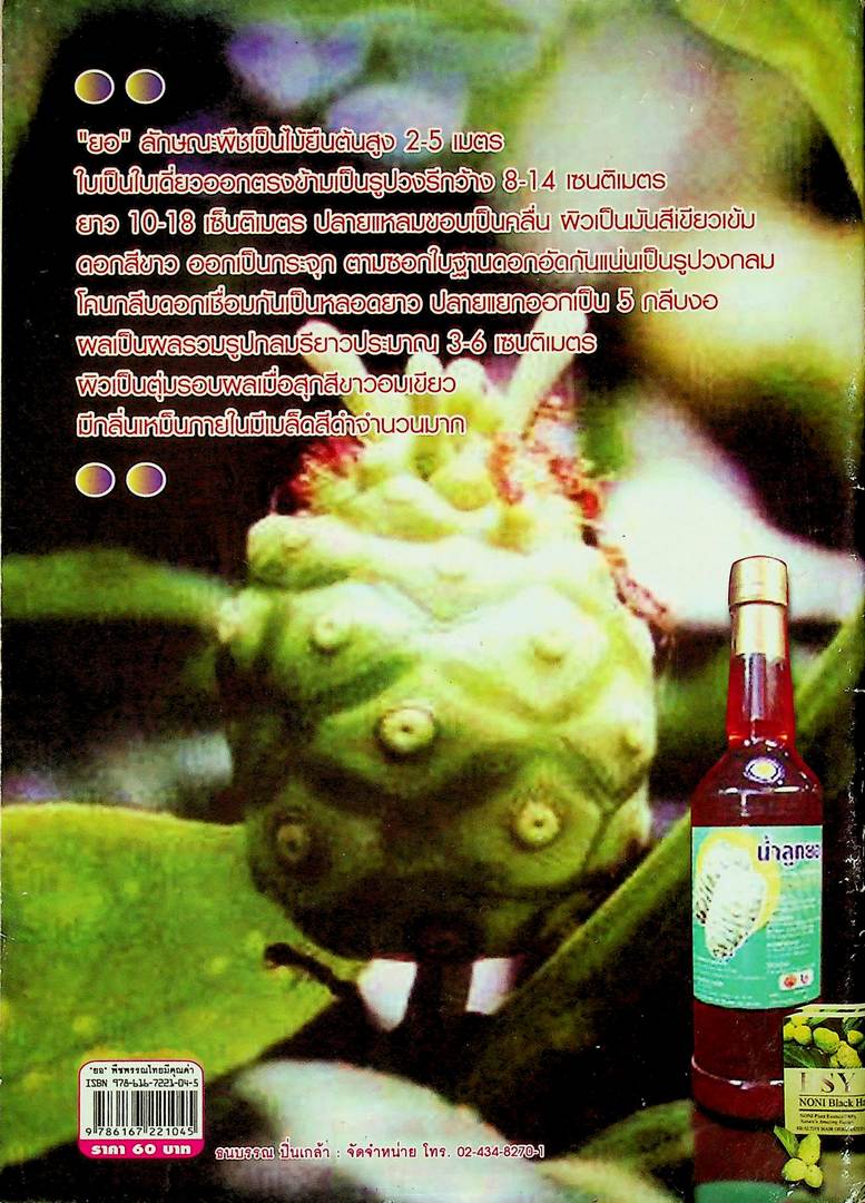 ยอ พืชพรรณไทย มีคุณค่า เป็นทั้งอาหารและยา