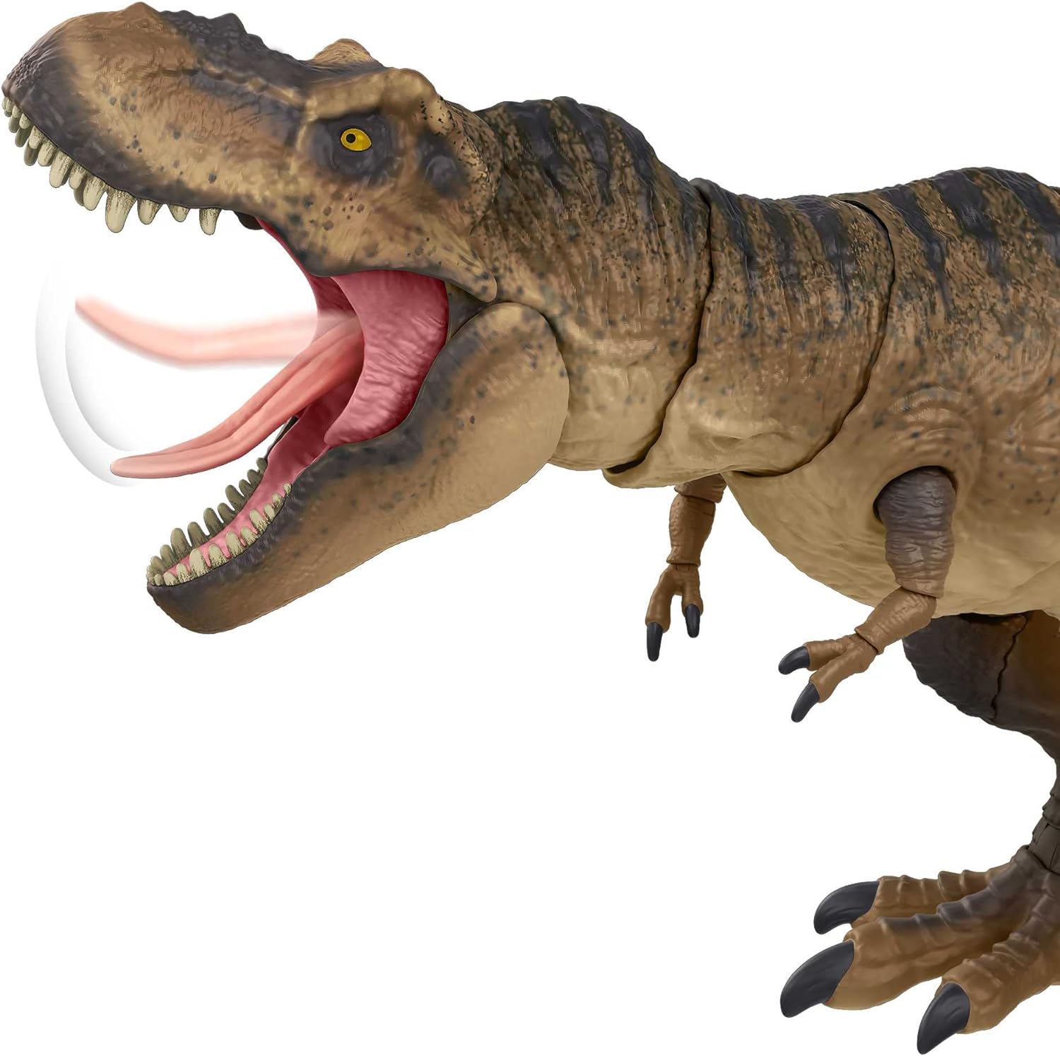**MTS Toys**Mattel Jurassic World Hammond Collection : HFG66 Tyrannosaurus Rex [ความยาวจากหัวถึงหาง 54 ซ.ม.]