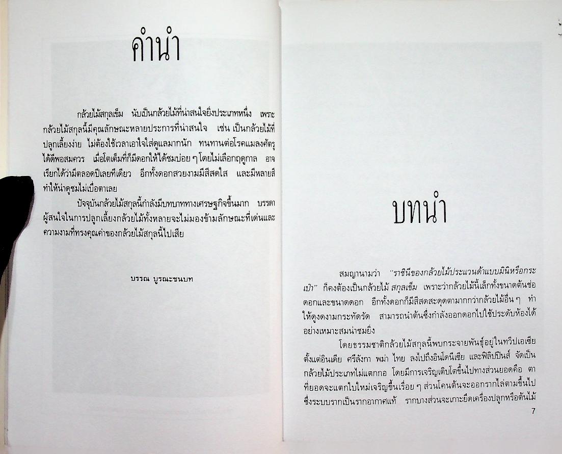 กล้วยไม้สกุลเข็ม