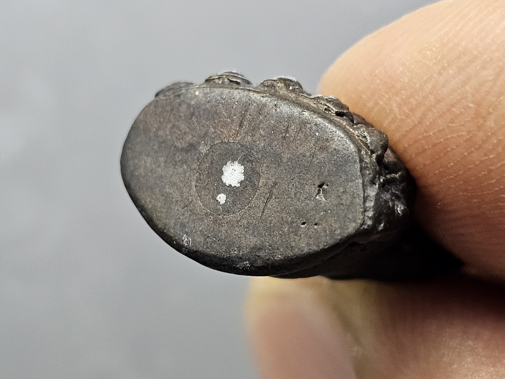 พระกริ่งเล็กวัดสุทัศน์ มูลนิธิอัฏฐมราชานุสรณ์ หลวงปู่โต๊ะร่วมปลุกเสก จัดสร้างโดย สมเด็จพุฒาจารย์ (เสงี่ยม) วัดสุทัศน์เทพวราราม เนื้อทองเหลืองรมดำ ปี2516 พร้อมกล่องเดิม