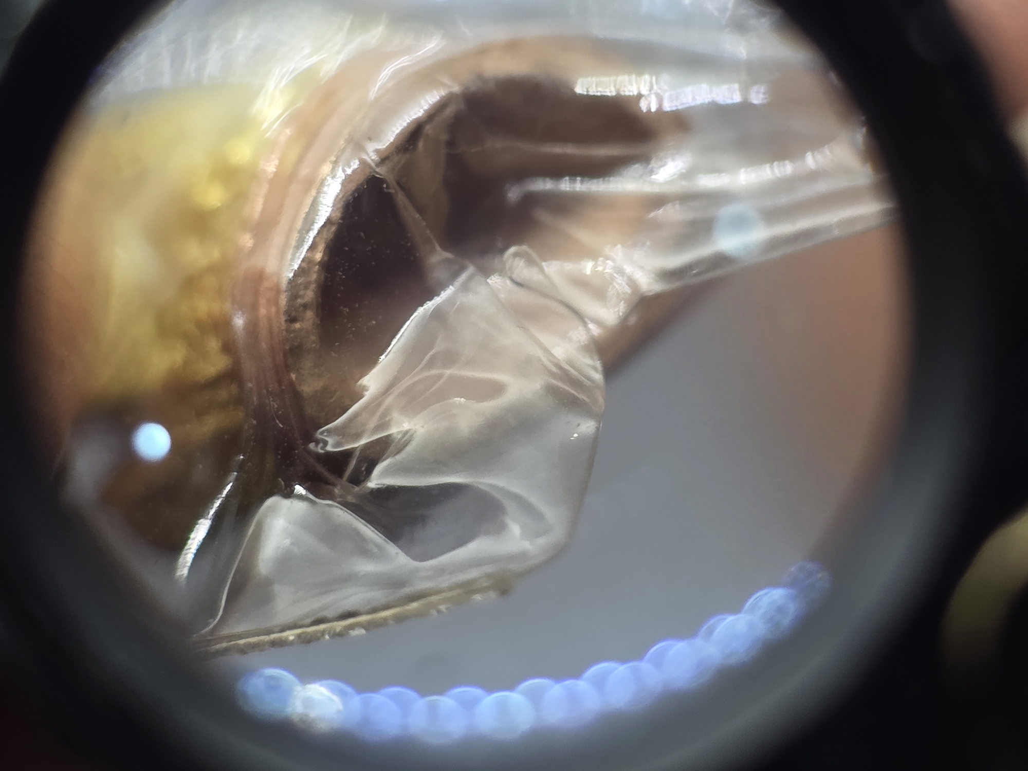 พระพิฆเนศ เทวสถานโบสถ์พราหมณ์ เนื้อเงินสามกษัตริย์ พิมพ์เล็ก ปี2539 พร้อมกล่องเดิม สภาพสวยเดิม