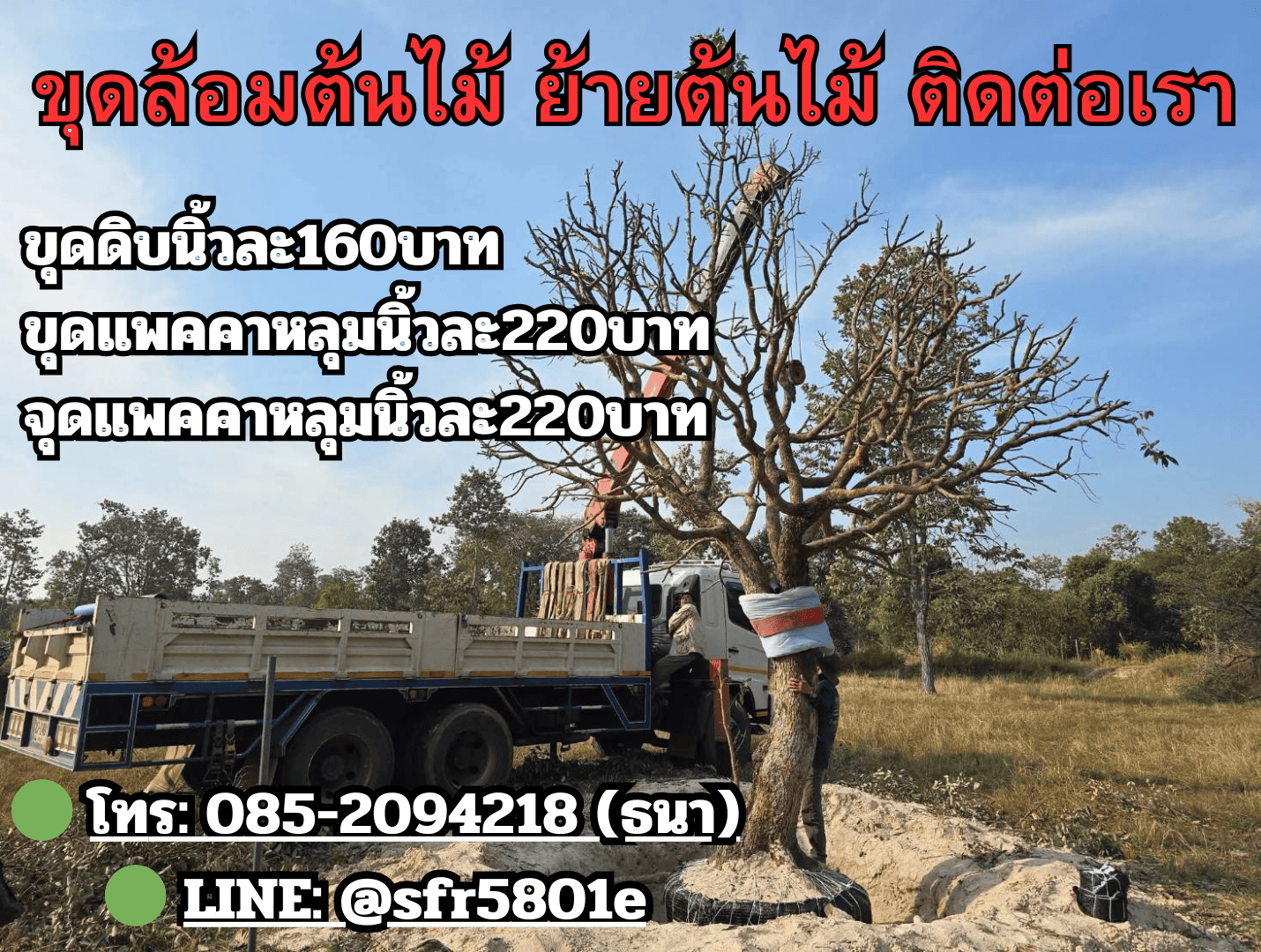 รับจ้างล้อมต้นไม้