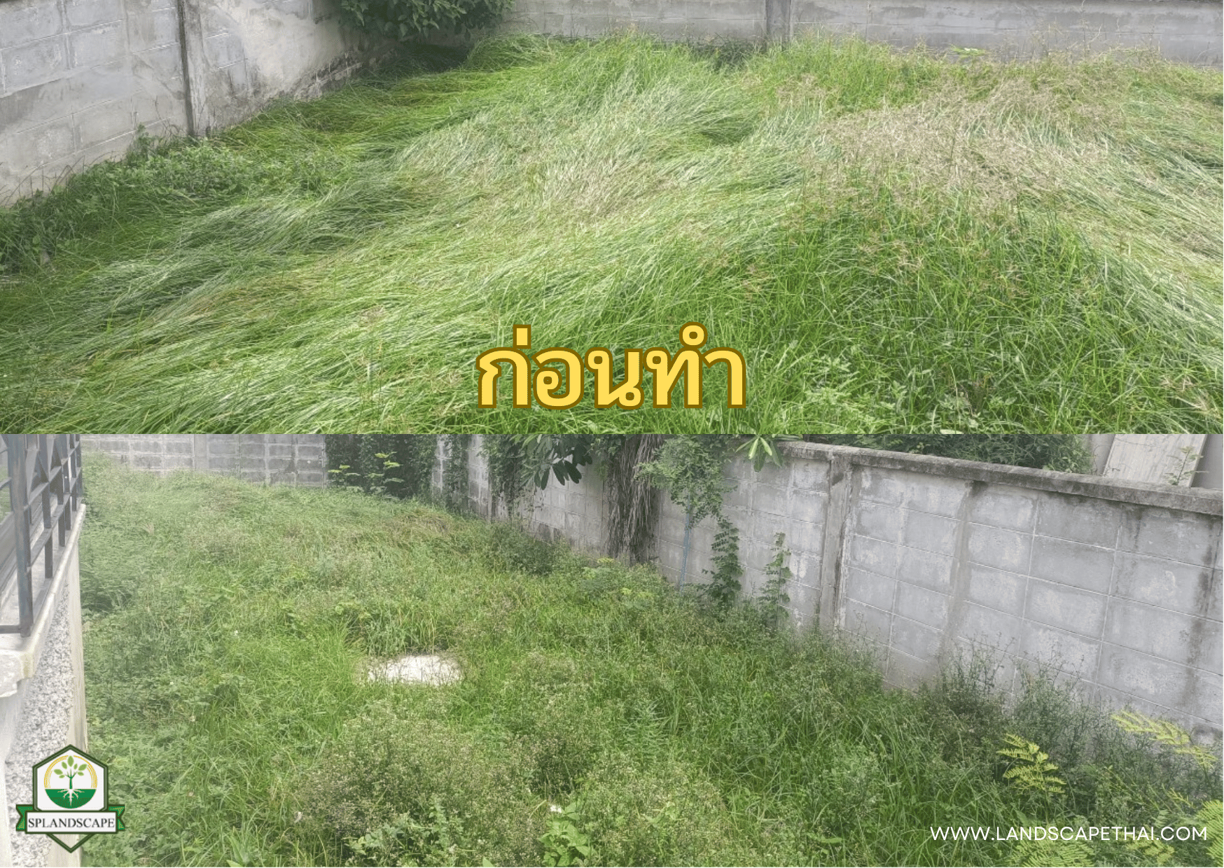 บริการรับตัดหญ้า เคลียร์ริ่ง ถางป่า โทร 094-515-7920 บริการรับตัดหญ้า เคลียร์ริ่ง ถางป่า โทร 094-515-7920