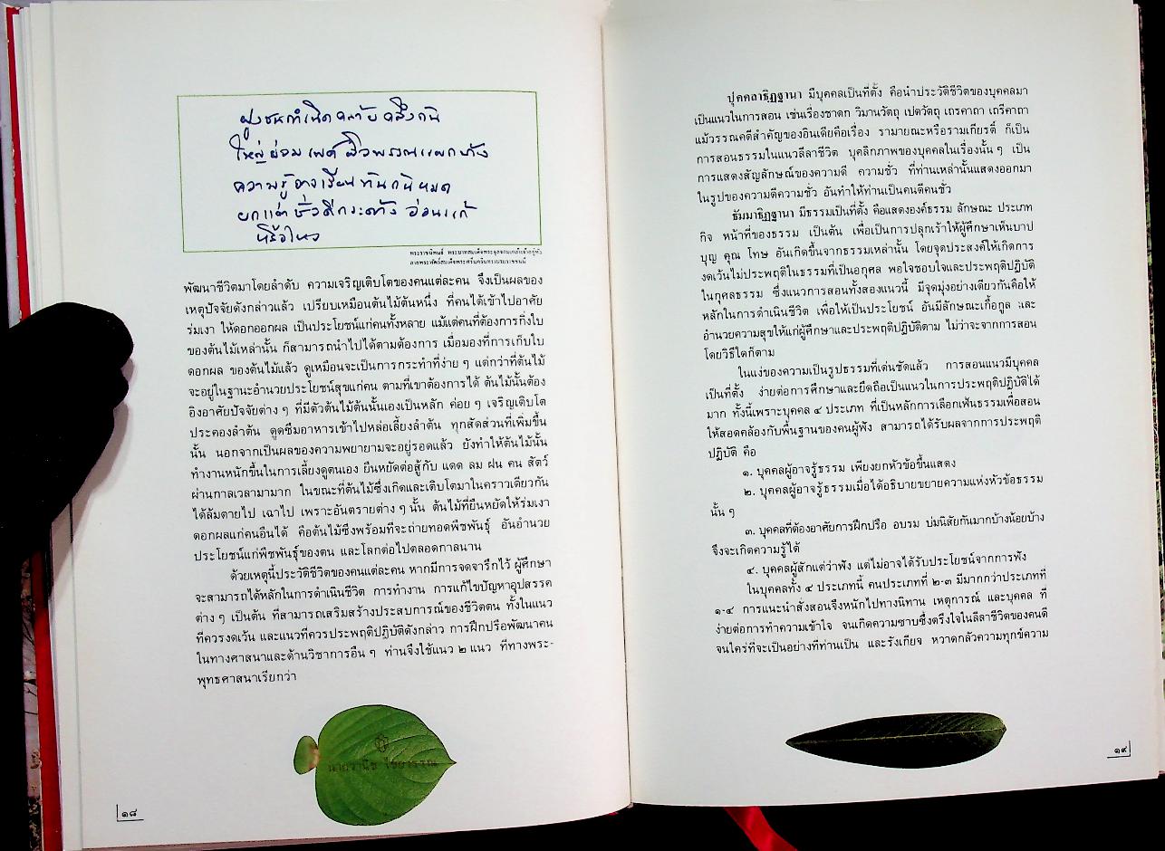 ๙๐ พรรษา แม่ฟ้าหลวง