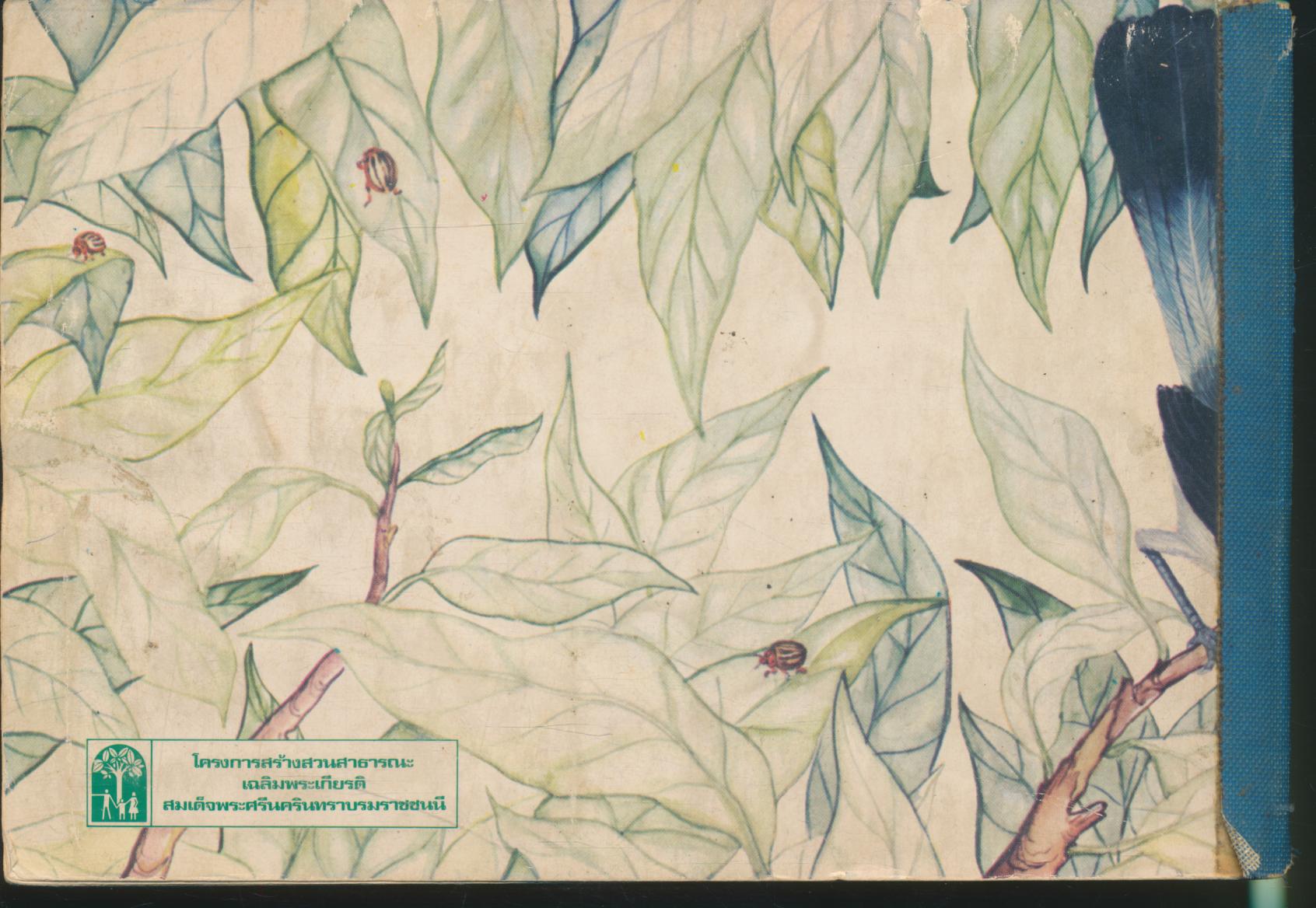 นกกางเขน