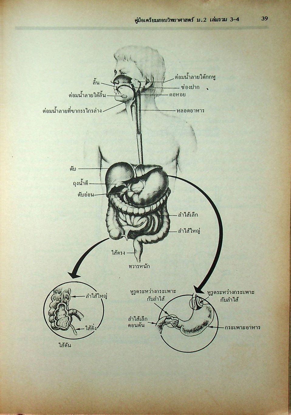 คู่มือเตรียมสอบ วิทยาศาสตร์ ม.2 เล่มรวม 3-4 ว 203 - ว 204