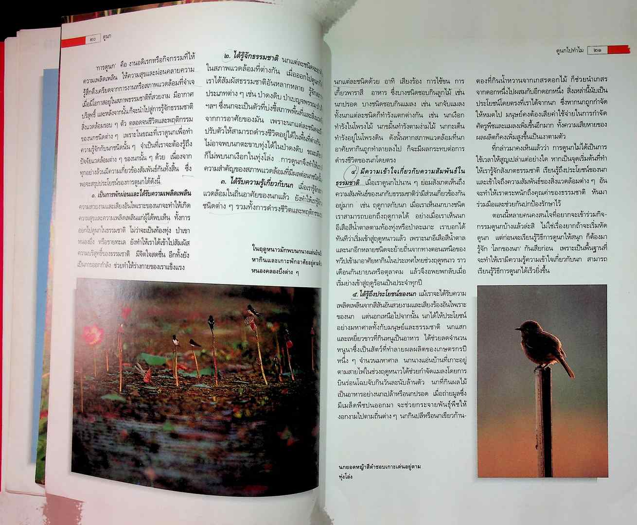 ดูนก รวมความรู้เรื่องนก และคู่มือสำหรับผู้สนใจดูนก