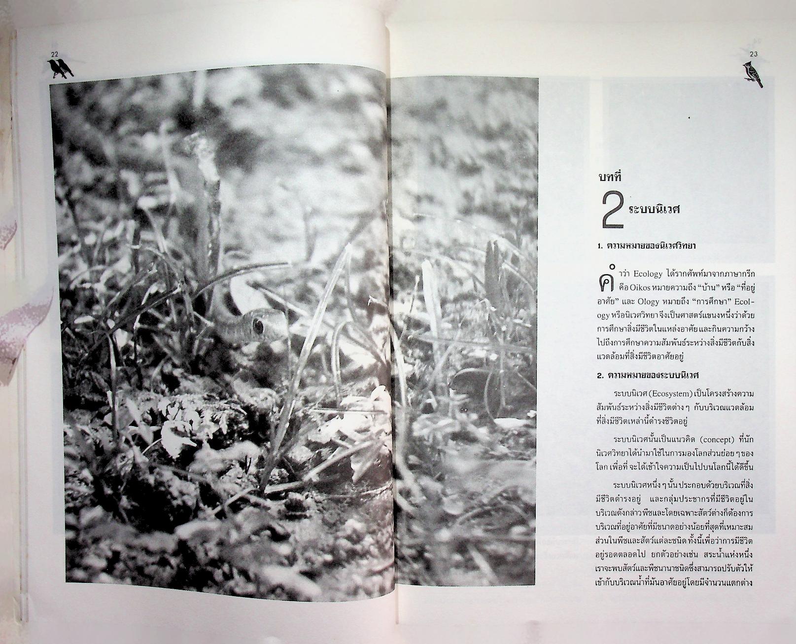 การอนุรักษ์สิ่งแวดล้อม