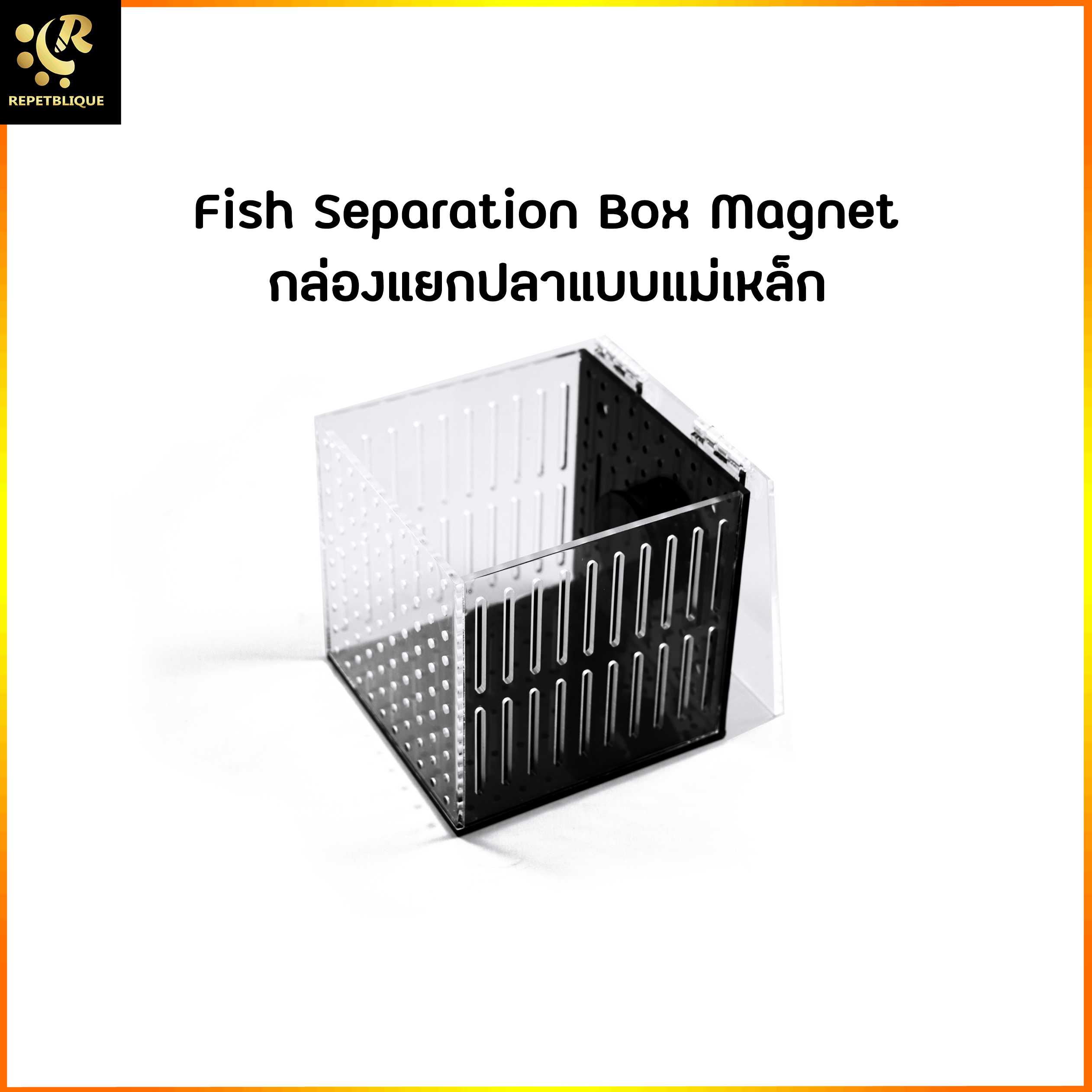 กล่องแยกปลา 1 ช่อง Fish Box Magnet