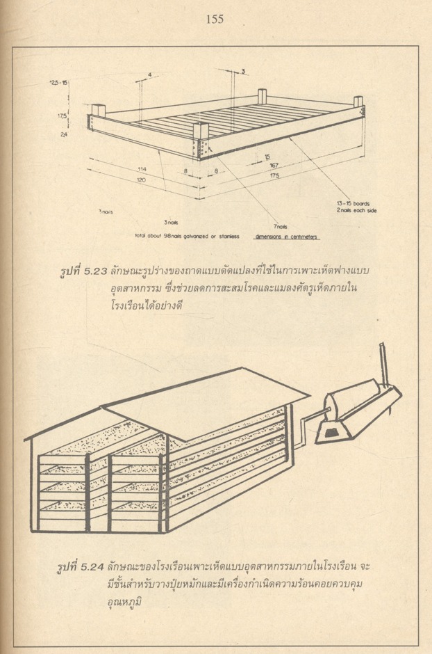 เทคโนโลยีการเพาะเห็ด