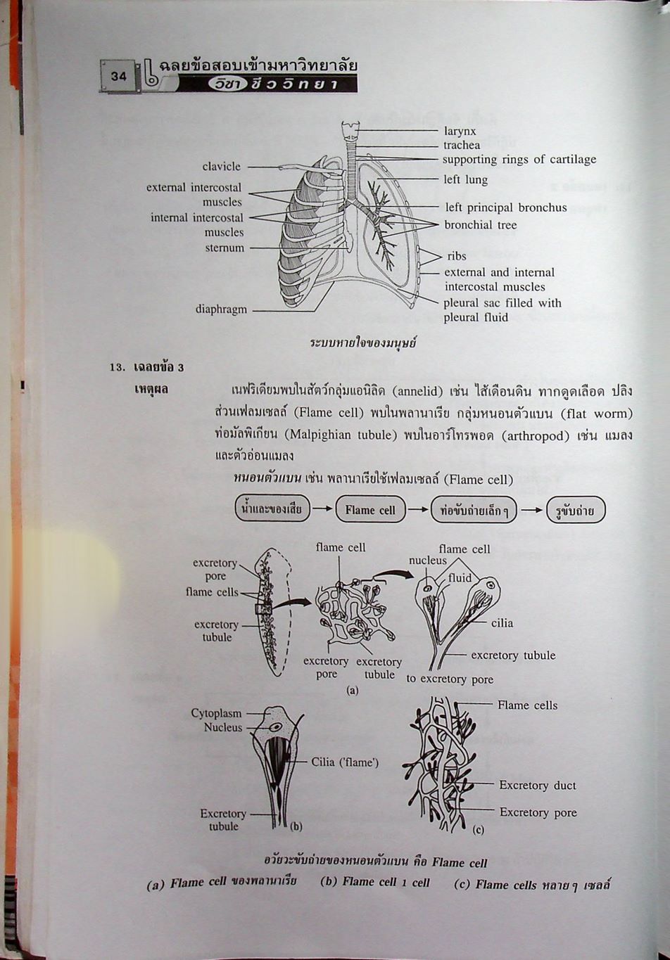 เฉลยข้อสอบเข้ามหาวิทยาลัย ชีววิทยา ฉบับรวมหลาย พ.ศ.