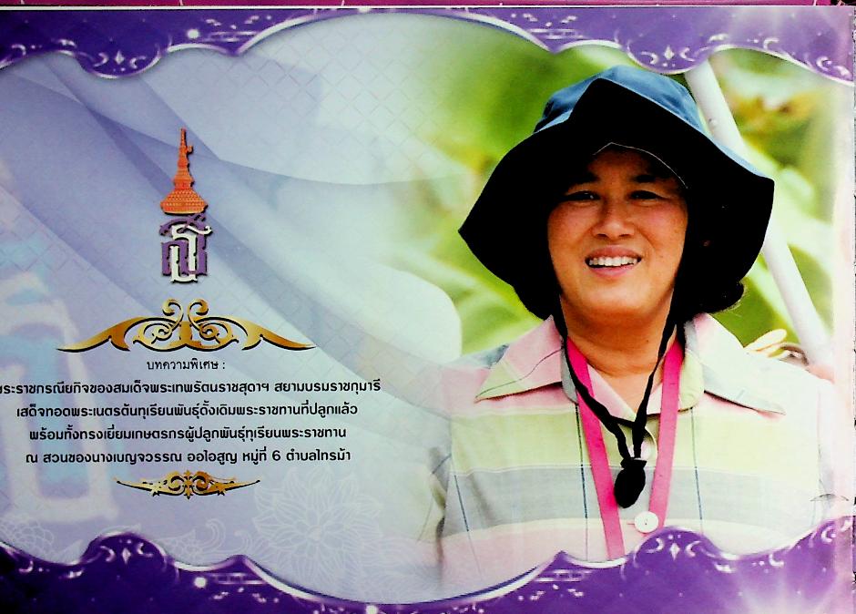 รายงานกิจกรรมเทศบาลตำบลไทรม้า