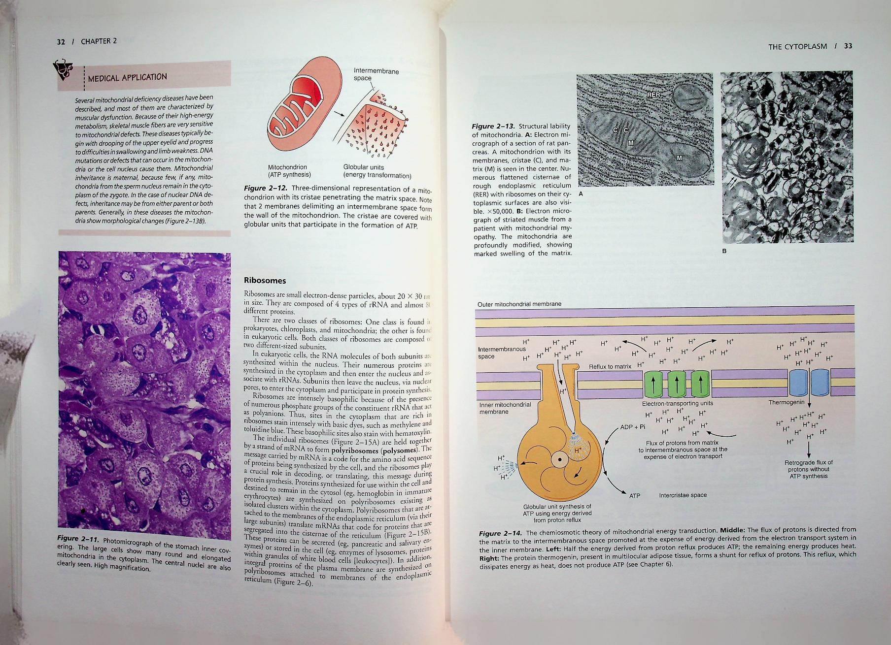 basic histology TEXT & ATLAS