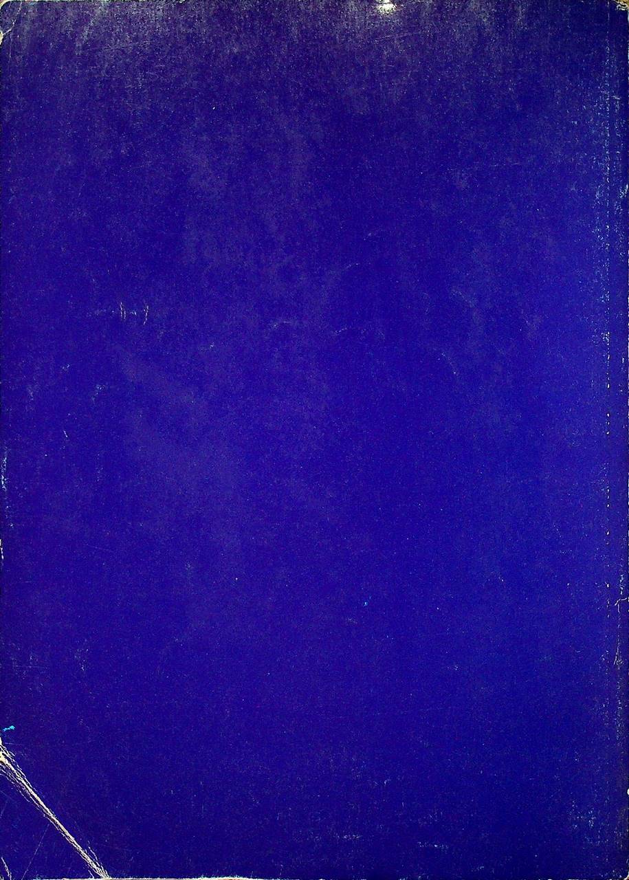 การเลือกซื้อและใช้งานเครื่องโทรศัพท์เคลื่อนที่ โทรศัพท์เคลื่อนที่แบบรวงผึ้ง (เซลลูล่าร์)