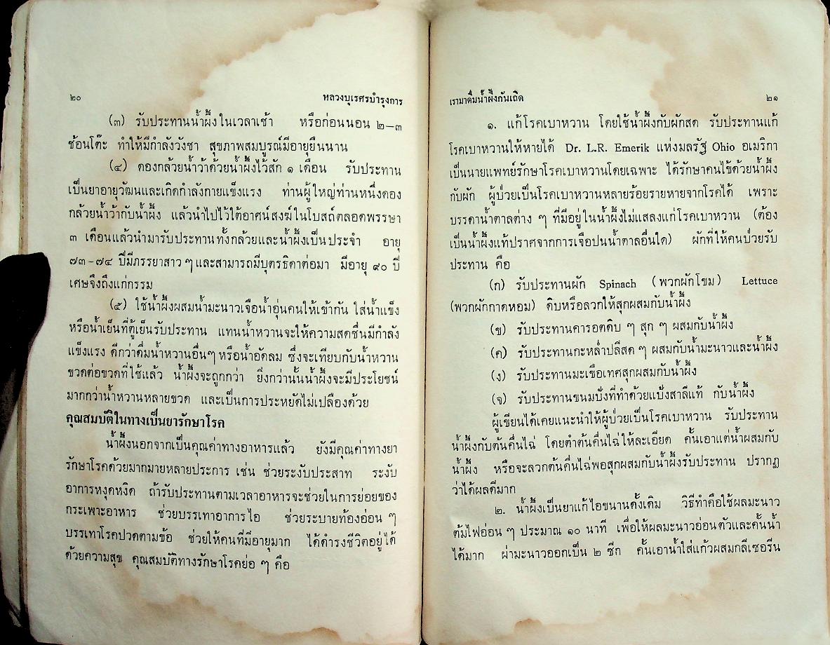 เรามาดื่มน้ำผึ้งกันเถิด