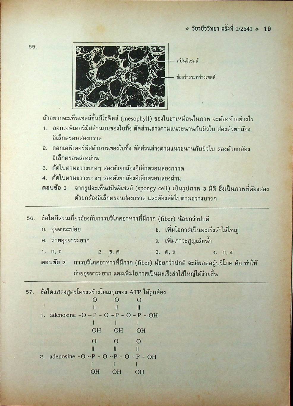 เฉลยข้อสอบเข้ามหาวิทยาลัย ระบบใหม่ Entrance วิชา ชีววิทยา