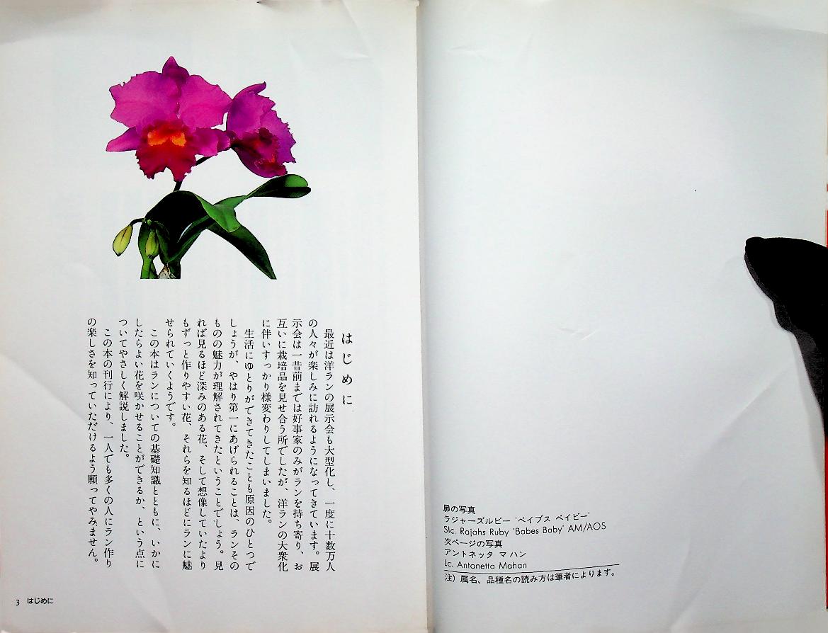 JOYFUL GREEN LIFE : Orchid (ดอกกล้วยไม้ ฉบับภาษาญี่ปุ่น)