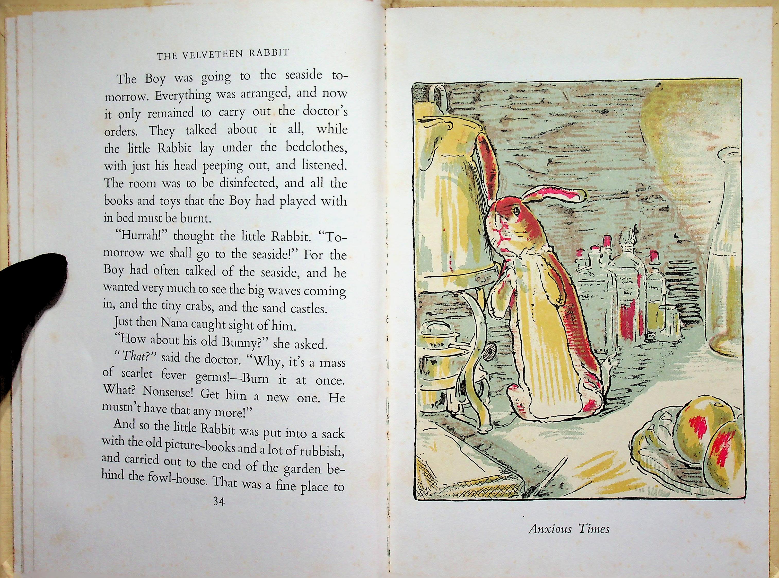 The VELVETEEN RABBIT