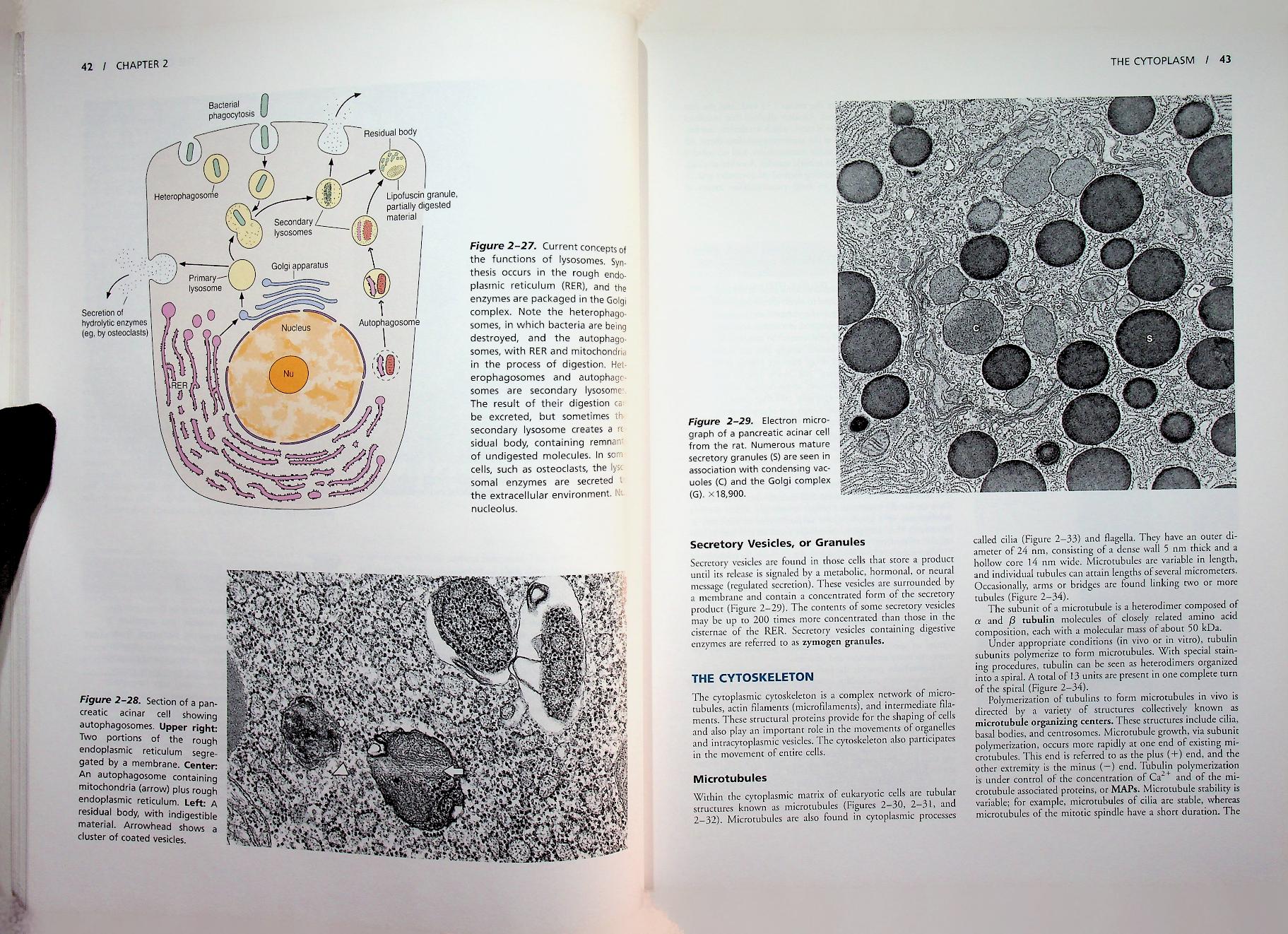 basic histology TEXT & ATLAS