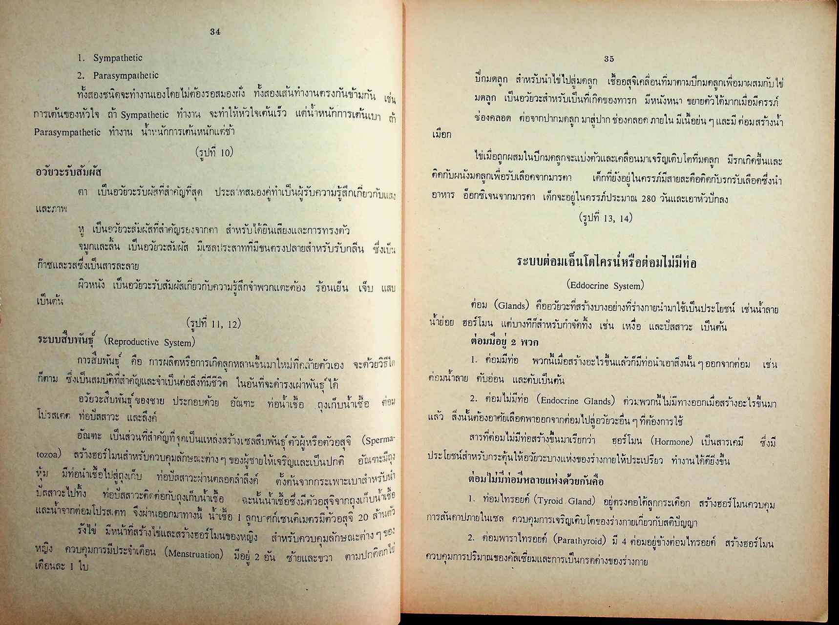 เอกสารประกอบการอบรม อ.ศ.ร. ชุดครูมัธยม หมวด ค. (พลศึกษา)
