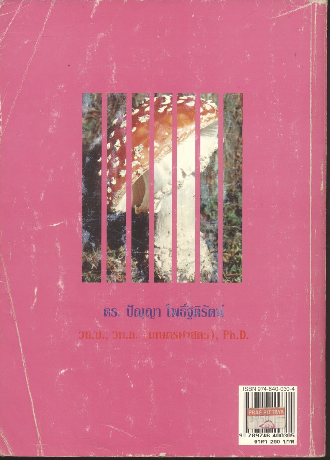 เทคโนโลยีการเพาะเห็ด