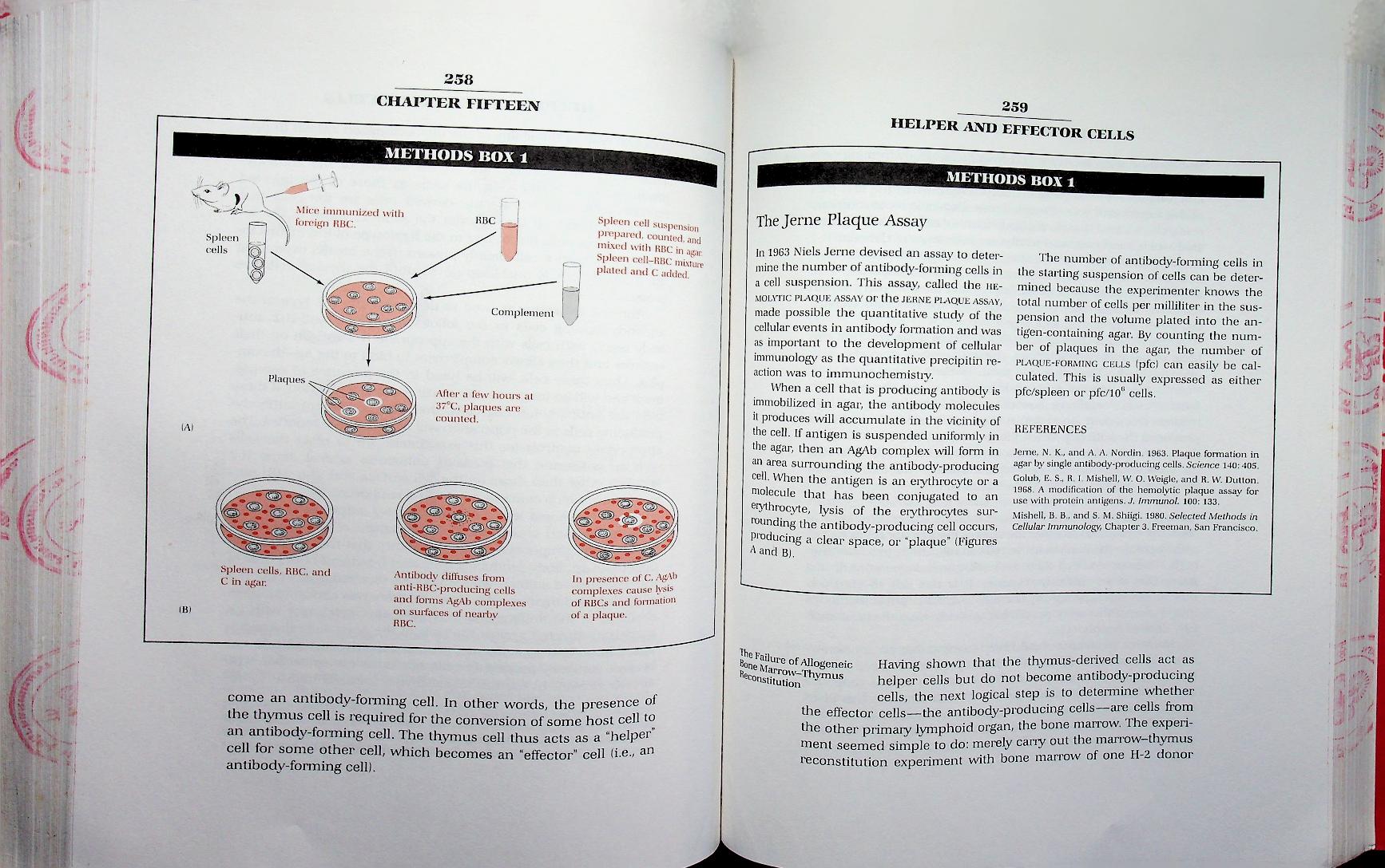 IMMUNOLOGY: A SYNTHESIS