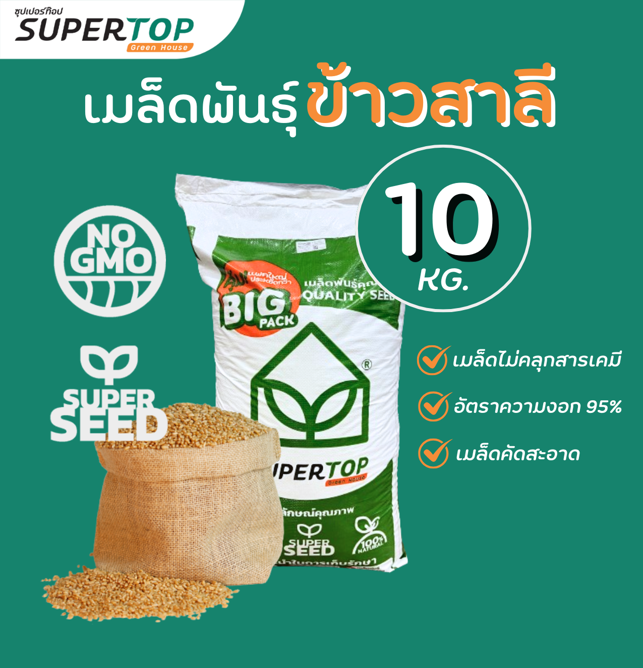 เมล็ดเพาะต้นอ่อน SUPERTOP | ยกกระสอบ 10 KG.