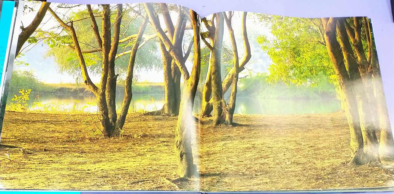 สมเด็จพระนางเจ้าสิริกิติ์ พระบรมราชินีนาถกับสิ่งแวดล้อม