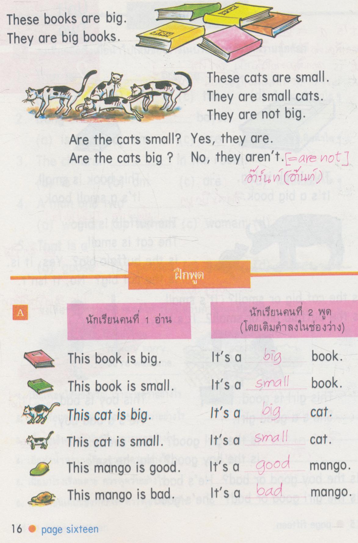 คู่มือครู-เฉลย NEW STANDARD ENGLISH 5