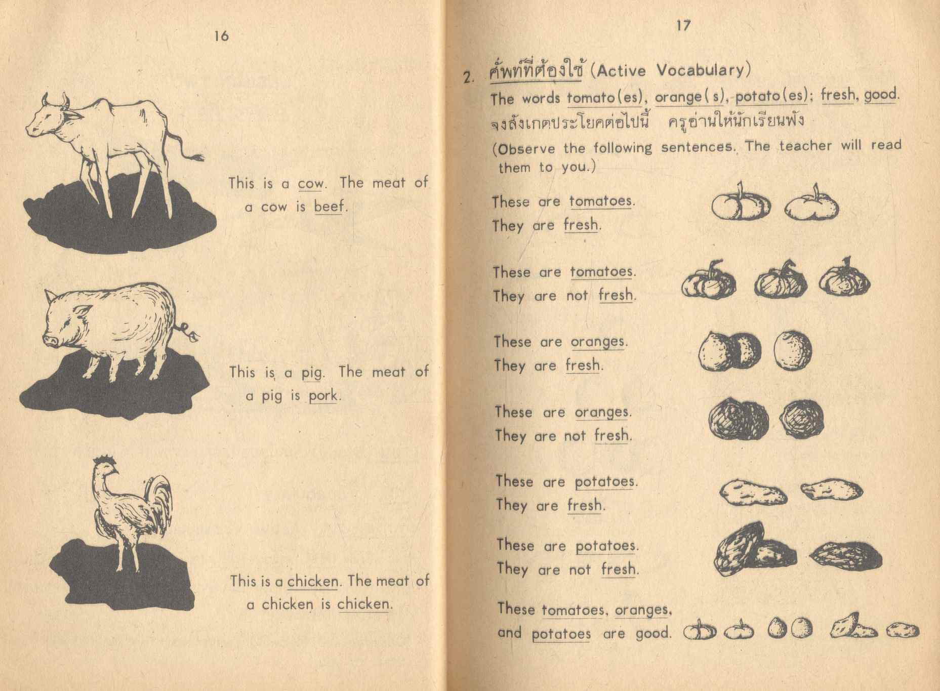 แบบเรียนเสริมทักษะภาษาอังกฤษ ประโยคมัธยมศึกษาตอนต้น