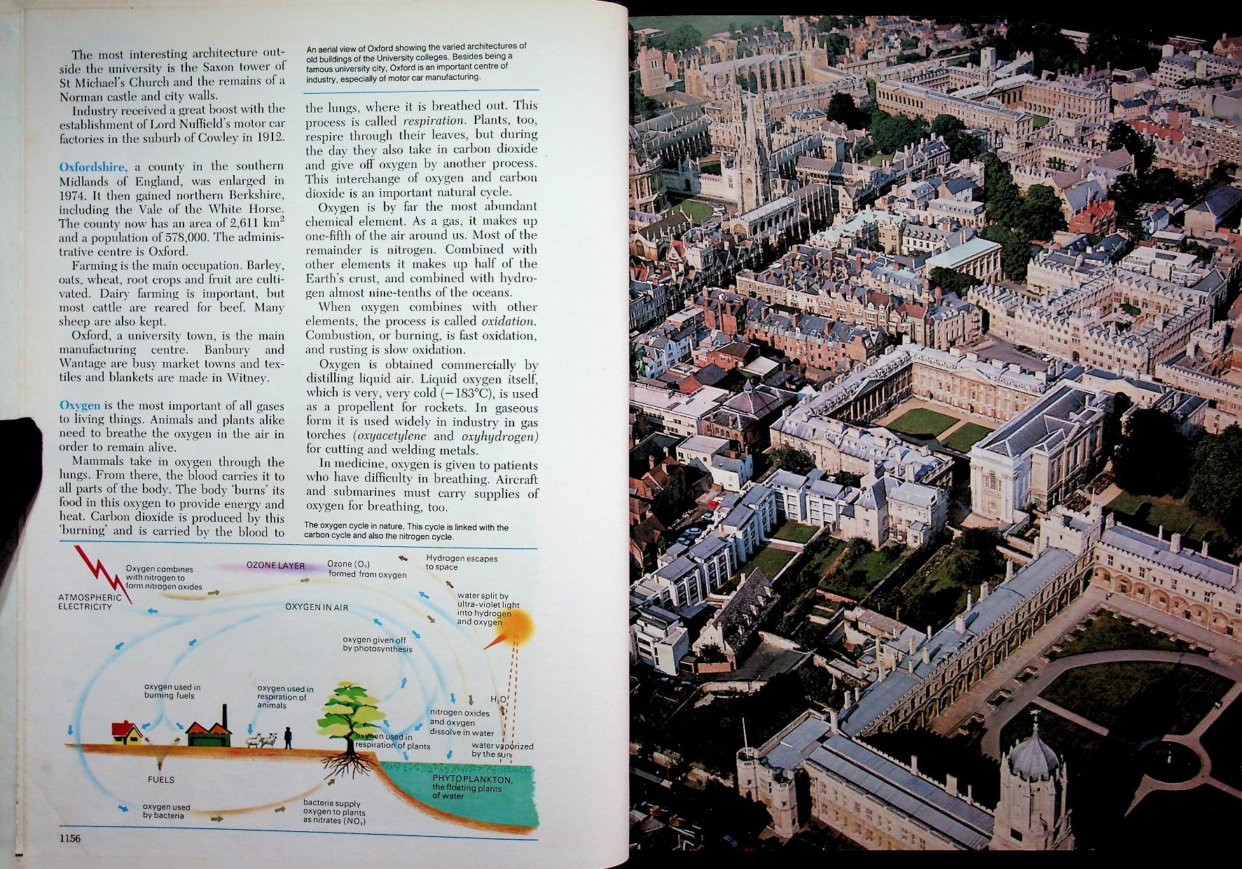 The 21st Century JUNIOR WORLD Encyclopedia 8