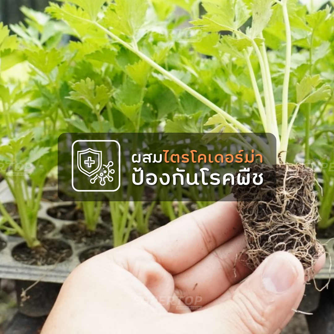 มูลไส้เดือน 1 KG. SUPERTOP | อุดมไปด้วยจุลินทรีย์ และธาตุอาหาร