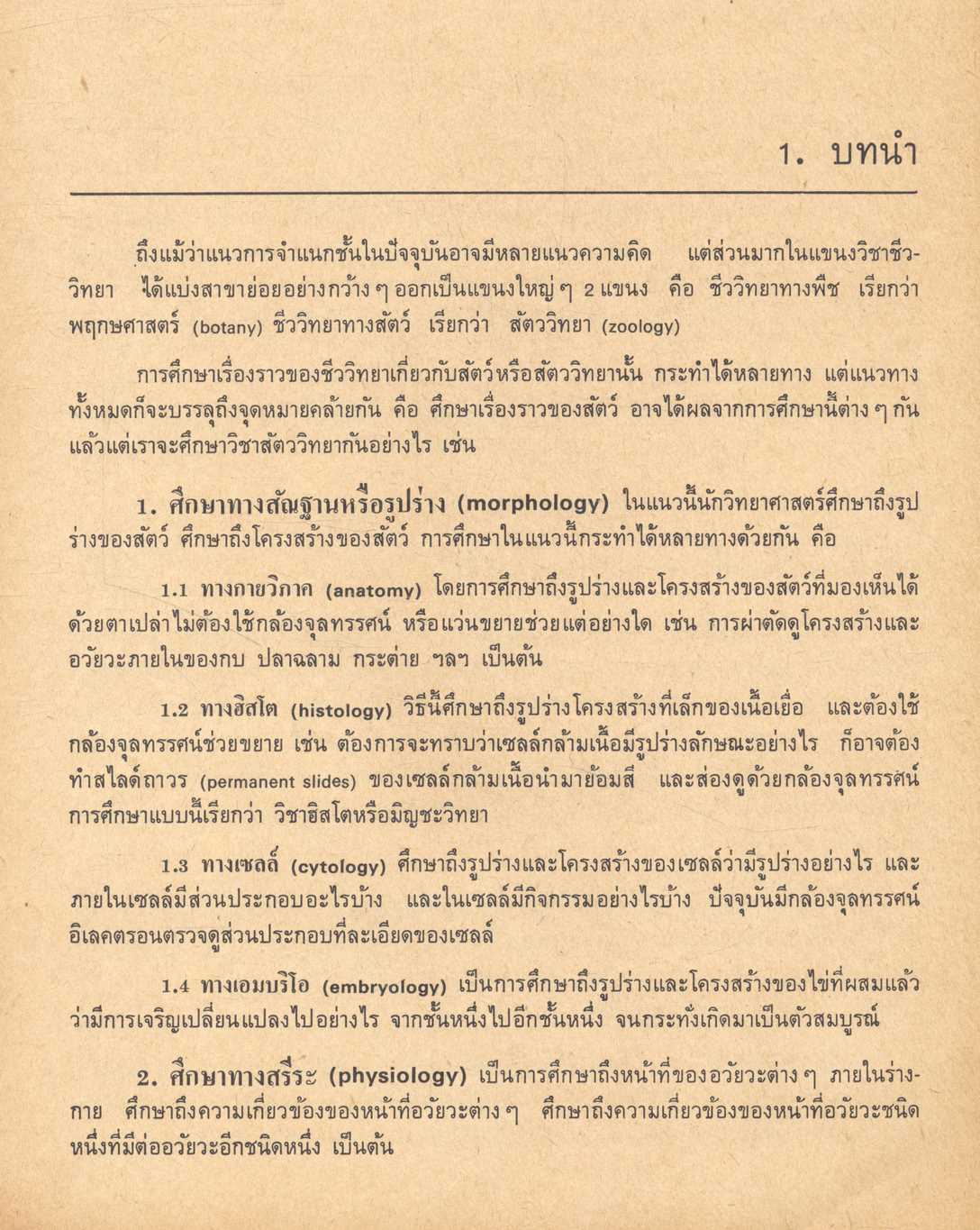 กายวิภาคศาสตร์เปรียบเทียบของคอร์เดต