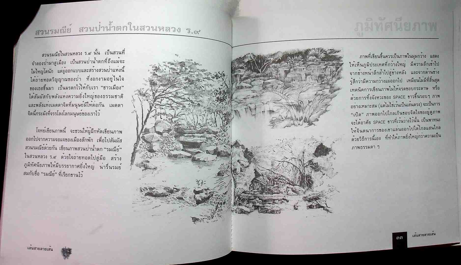 หนังสือชุดสื่อสาระ เส้นสาย ลายเส้น