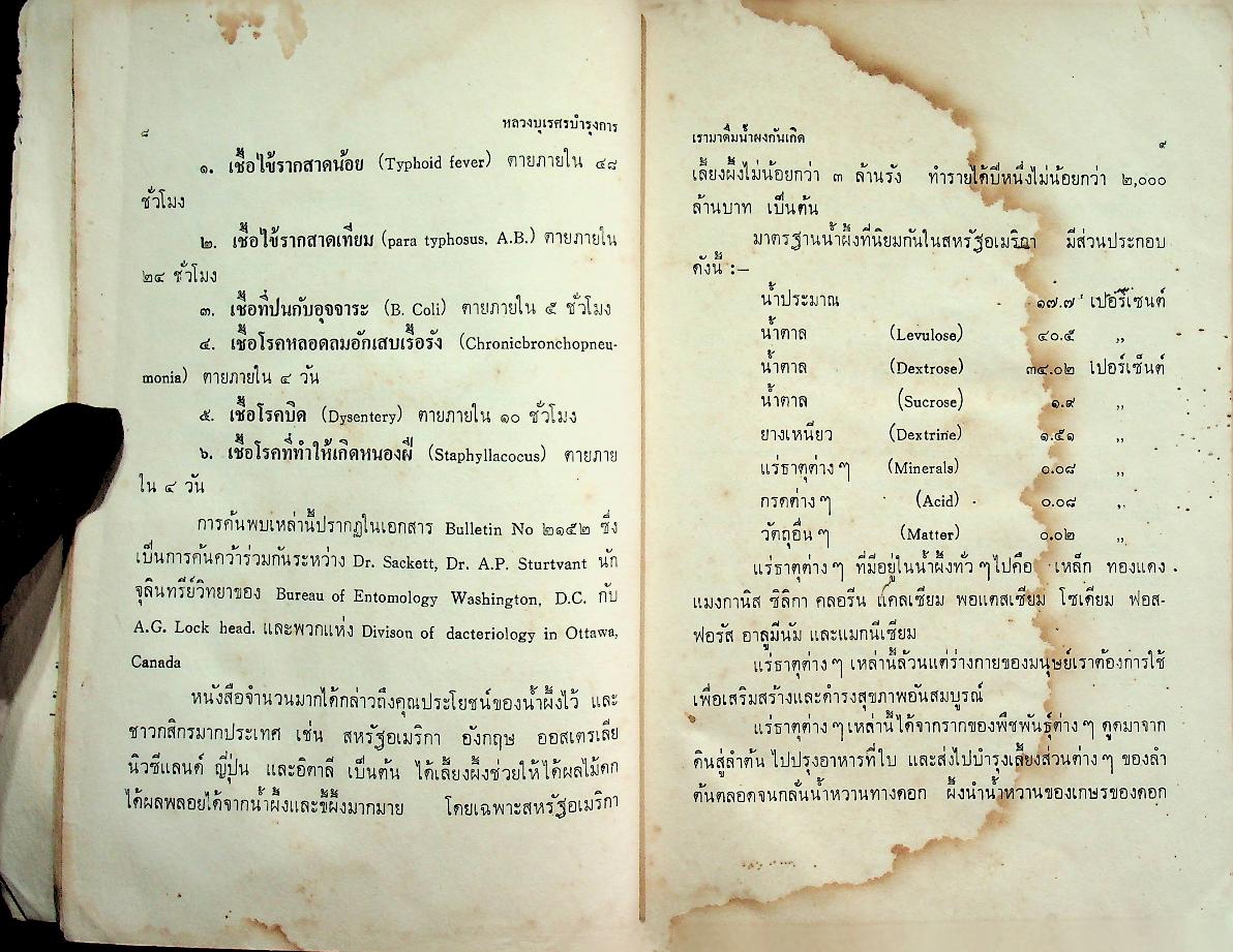 เรามาดื่มน้ำผึ้งกันเถิด