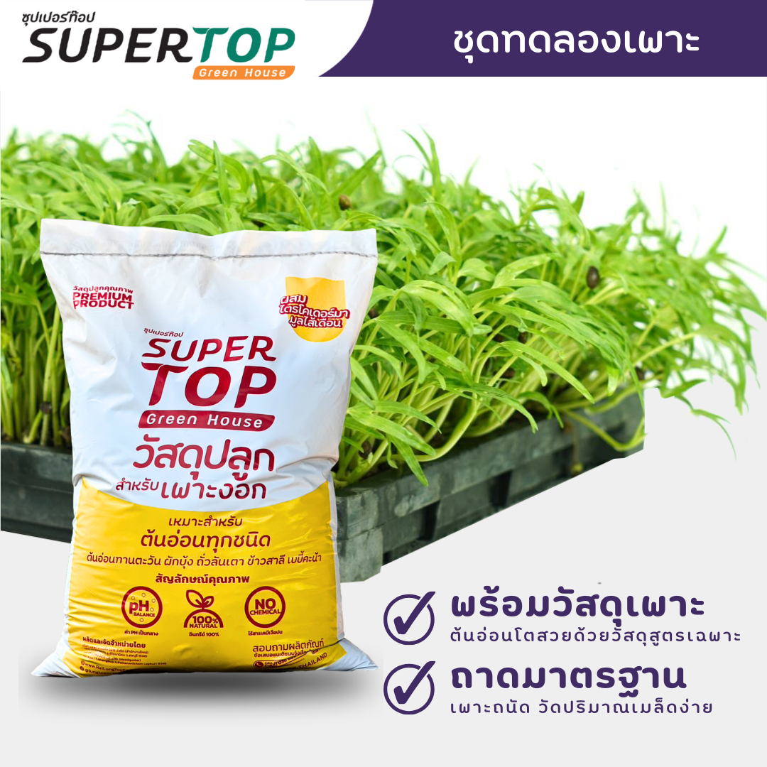 ชุดทดลองเพาะต้นอ่อน (แบบใช้ดิน) SUPERTOP Planting Kit Microgreen
