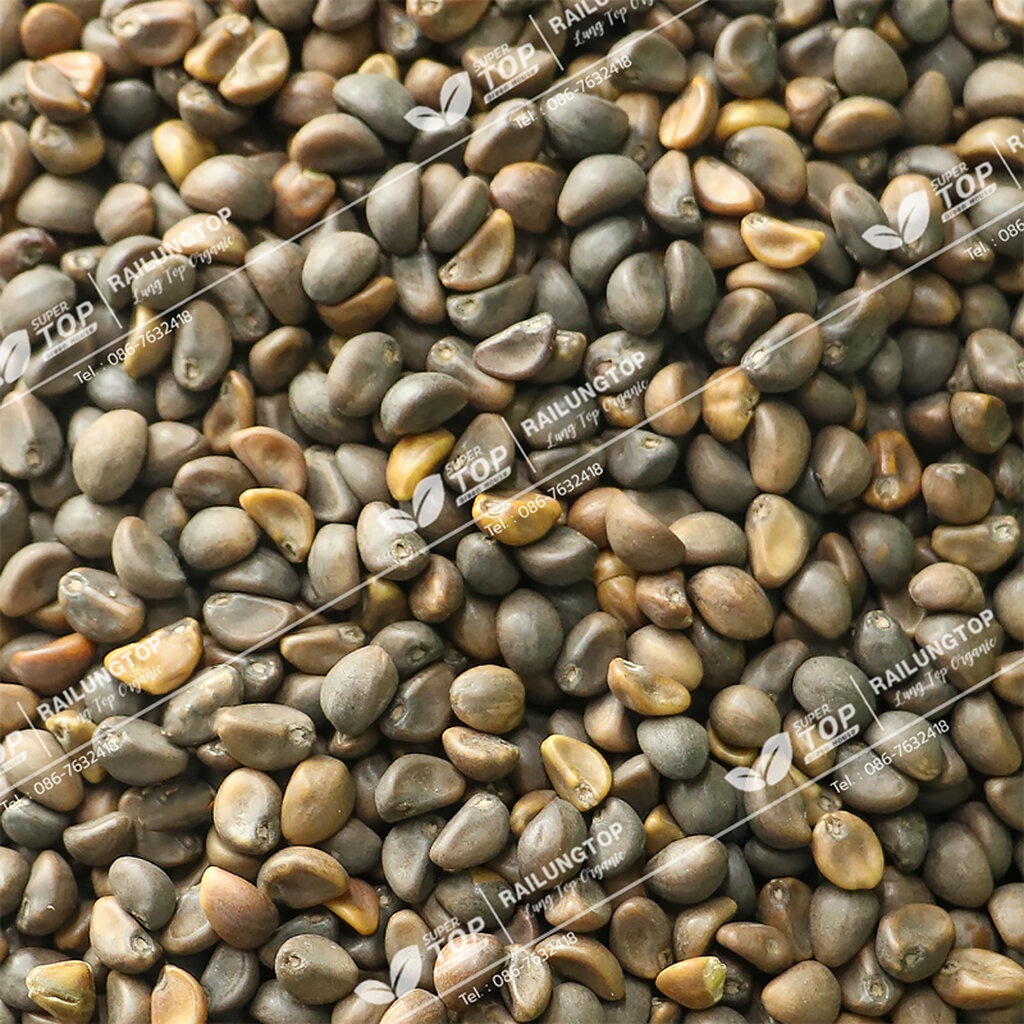 เมล็ดเพาะต้นอ่อน ผักบุ้งจีน พันธุ์เรียวไผ่ (Water convolvulus Microgreen) SUPERTOP ขนาด 1 KG.