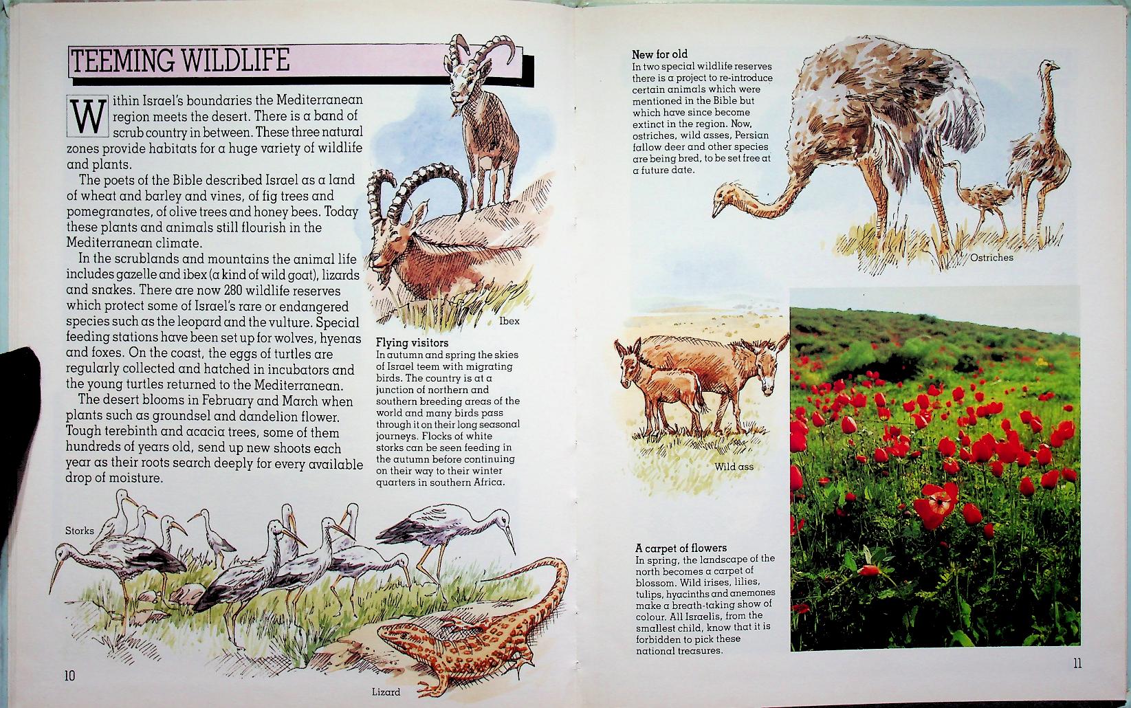 PEOPLE & PLACES Israel