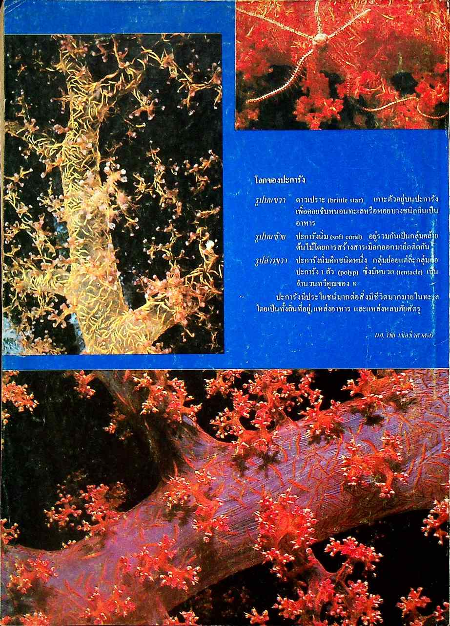 เพื่อนเรียน เพื่อนักเรียนมัธยมปลาย ปีที่ 2 ฉบับที่ 3 กรกฎาคม 2524