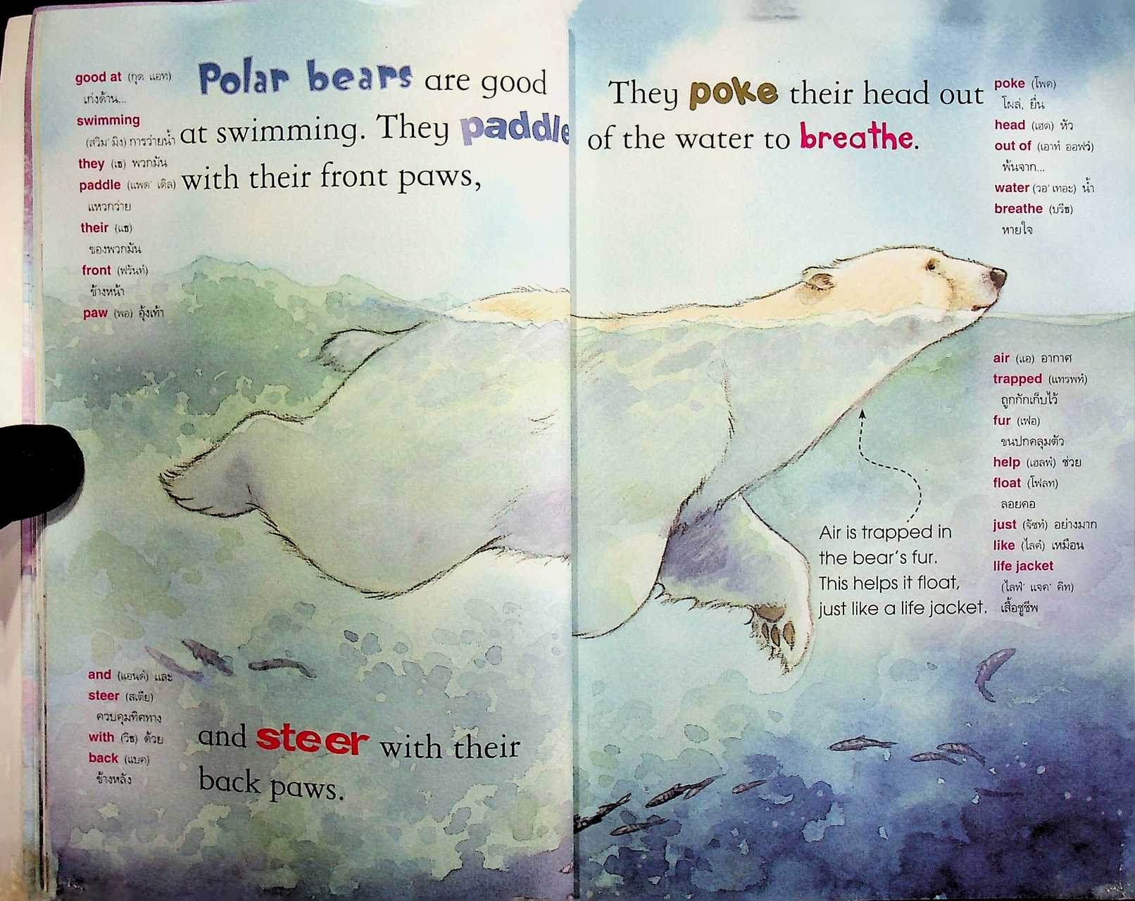 Polar Bears โลกน่ารู้ของเจ้าหมีขาวขั้วโลก