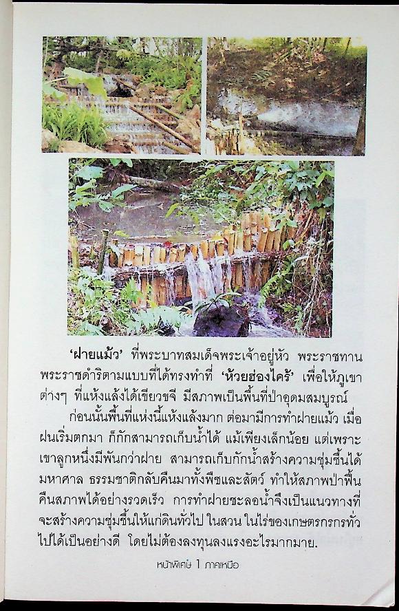 ภูมิรักษ์ธรรมชาติ ภาคเหนือ