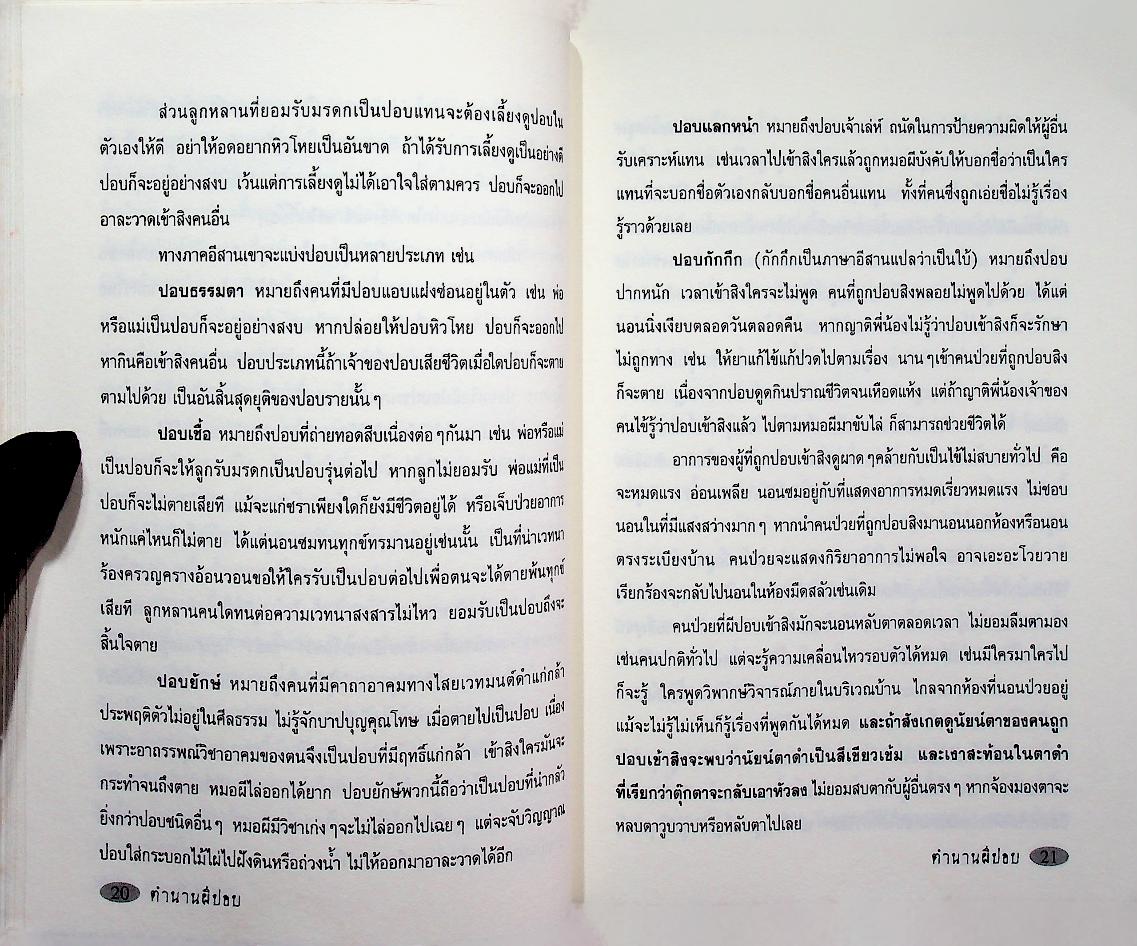 พระจูงหมาชีอุ้มแมวดำ ตำนาน ผีปอบ
