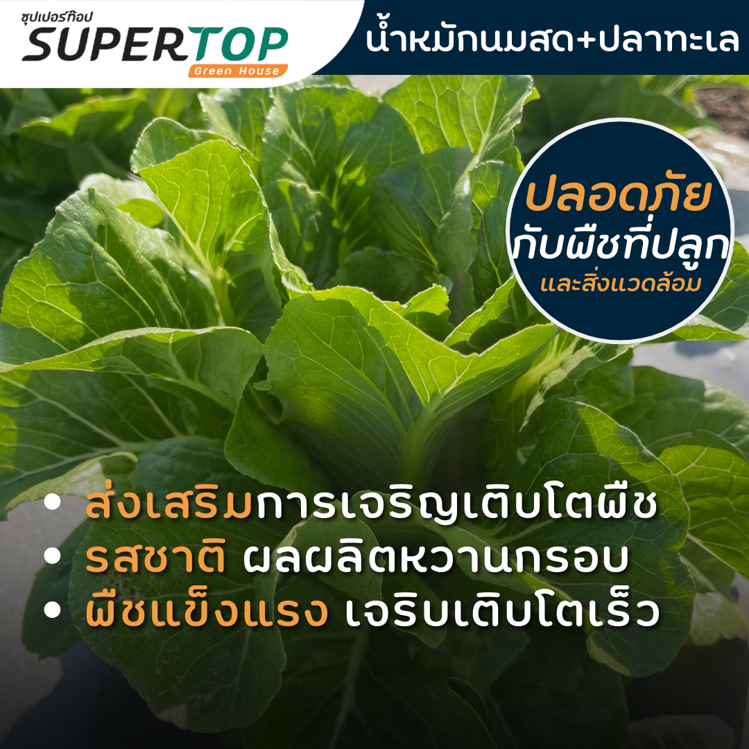 ไบโอพลัส-น้ำหมักชีวภาพ สูตรนมสด & ปลาทะเล สูตรเข้มข้น 500 ml.